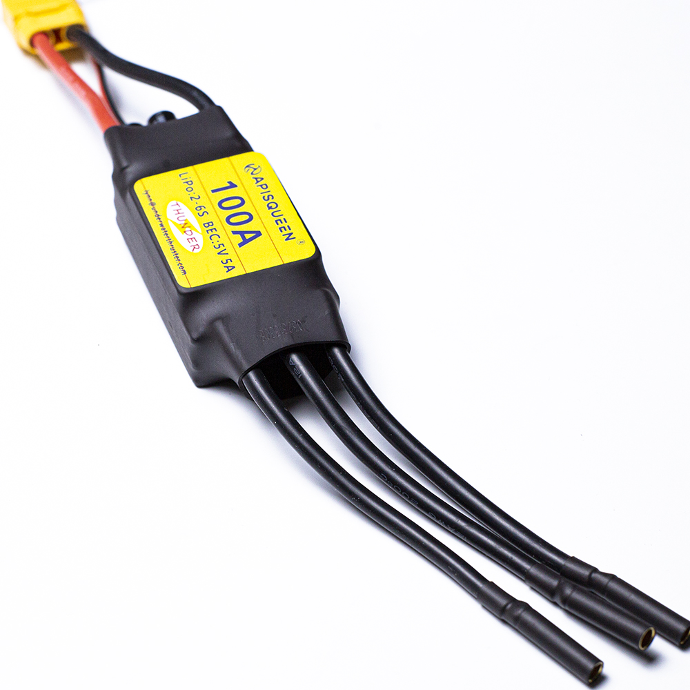 ApisQueen underwater 100A Brus - đánh giá và giá Rc Boat Brushless Motor